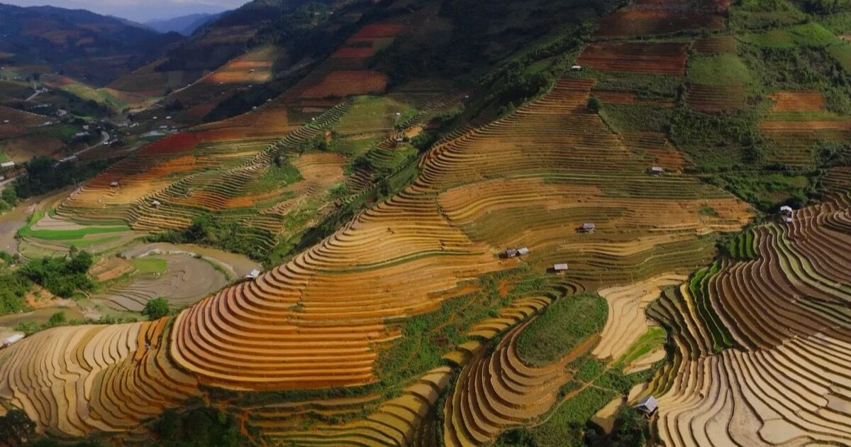 Preview image published by vietnam-immi.org